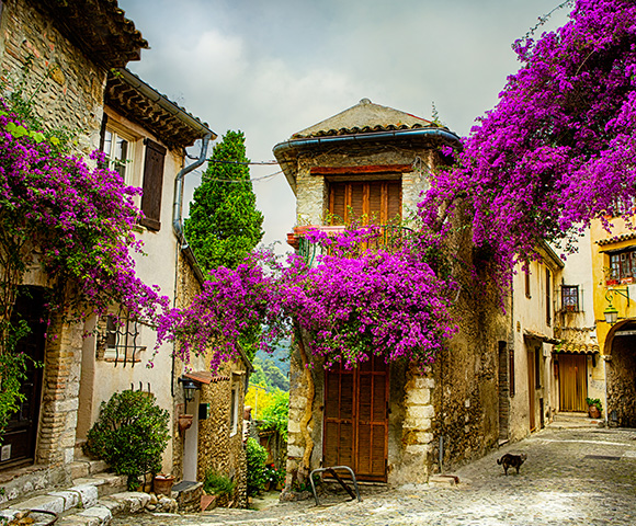 BURGUNDY AND PROVENCE